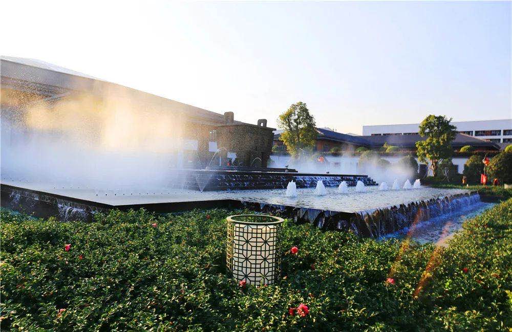 1757065108217709 1757065108217709