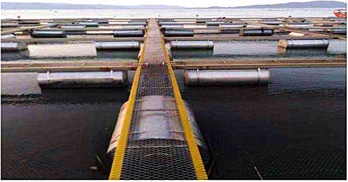 1757065682461839 1757065682461839